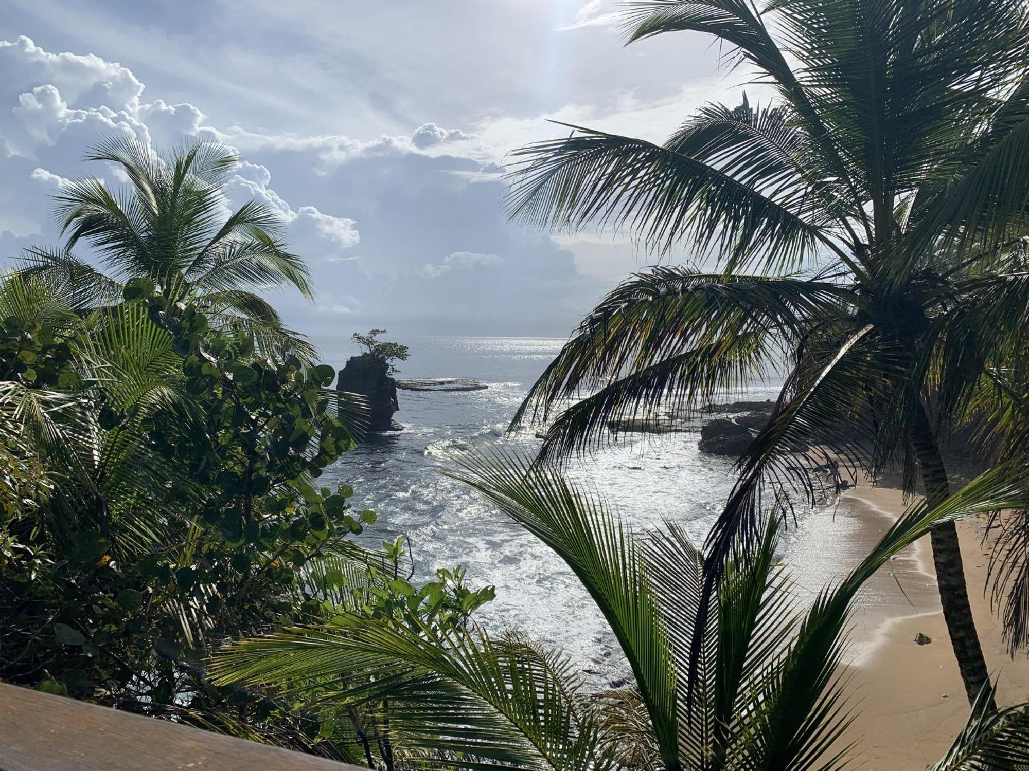 Casa Blanca Beachfront House With Shared Pool Access Pangea Lodge 曼萨尼约 外观 照片