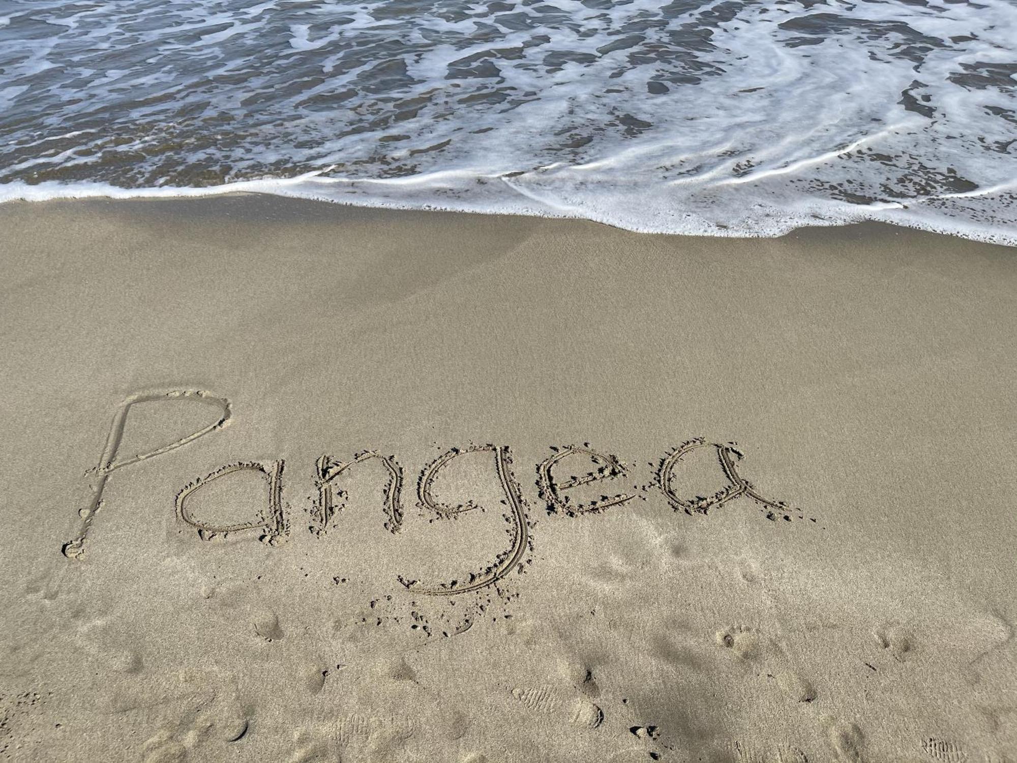Casa Blanca Beachfront House With Shared Pool Access Pangea Lodge 曼萨尼约 外观 照片